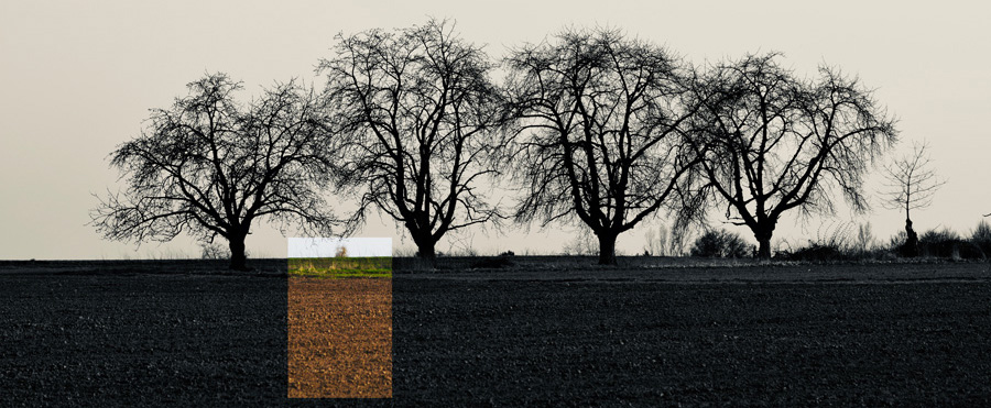 Die Leitidee – wo liegt sie?